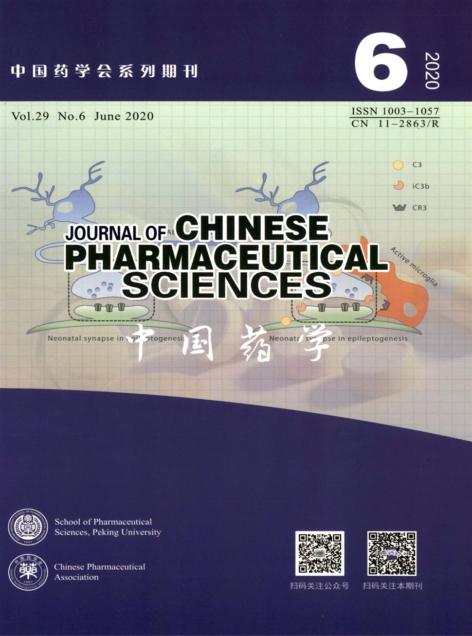 中国药学：英文版