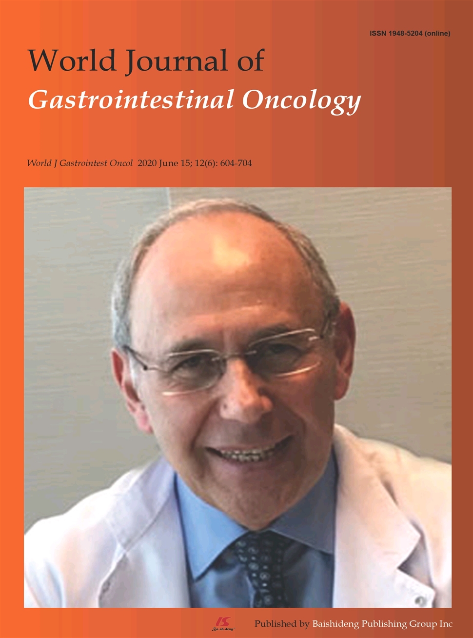 世界胃肠肿瘤学杂志：英文版（电子版）