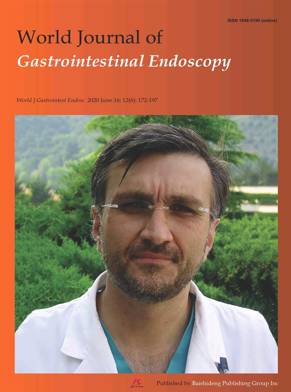 世界胃肠内镜杂志：英文版（电子版）