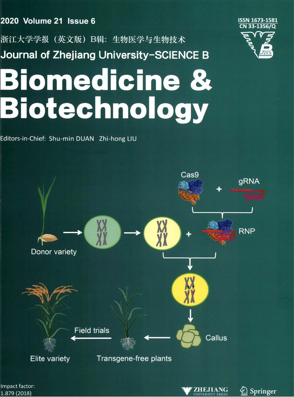 浙江大学学报：B卷英文版