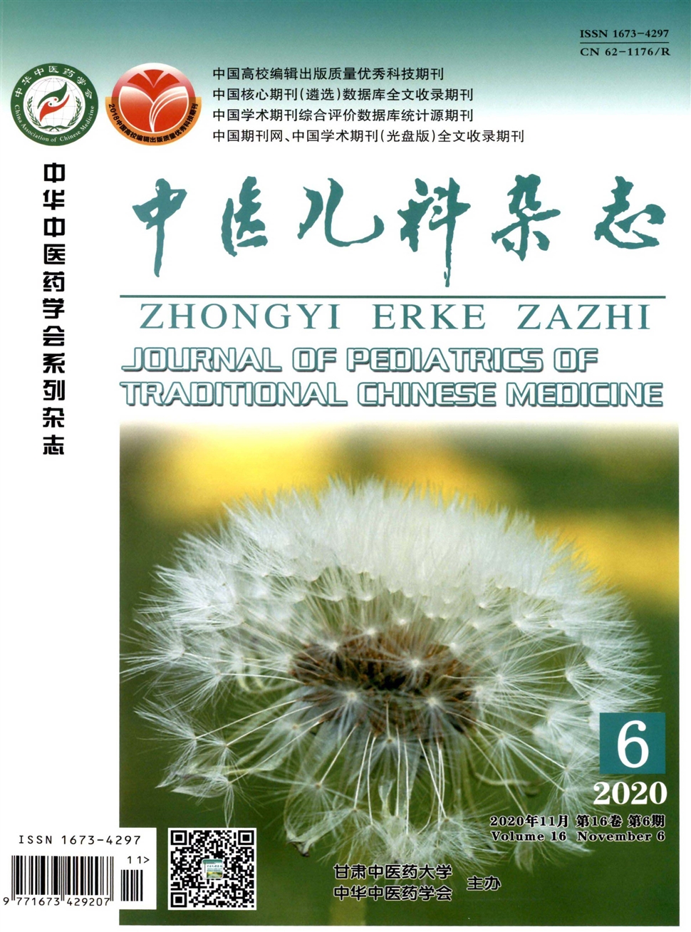中医儿科杂志