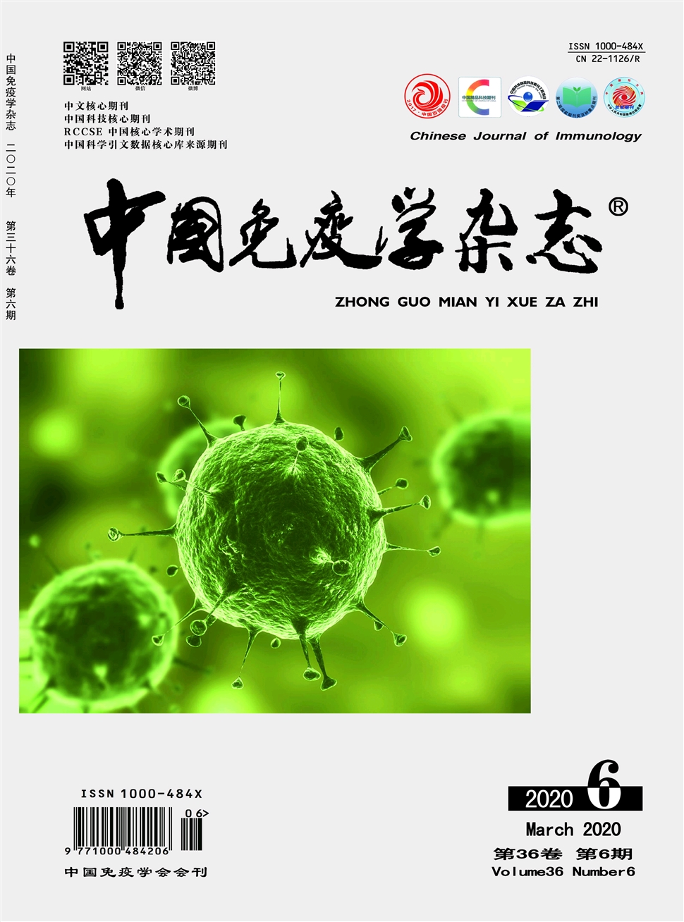 中国免疫学杂志