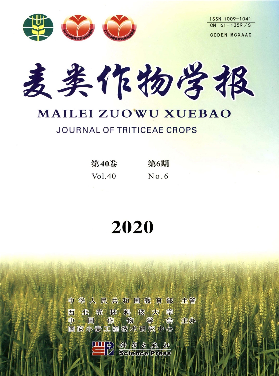 麦类作物学报