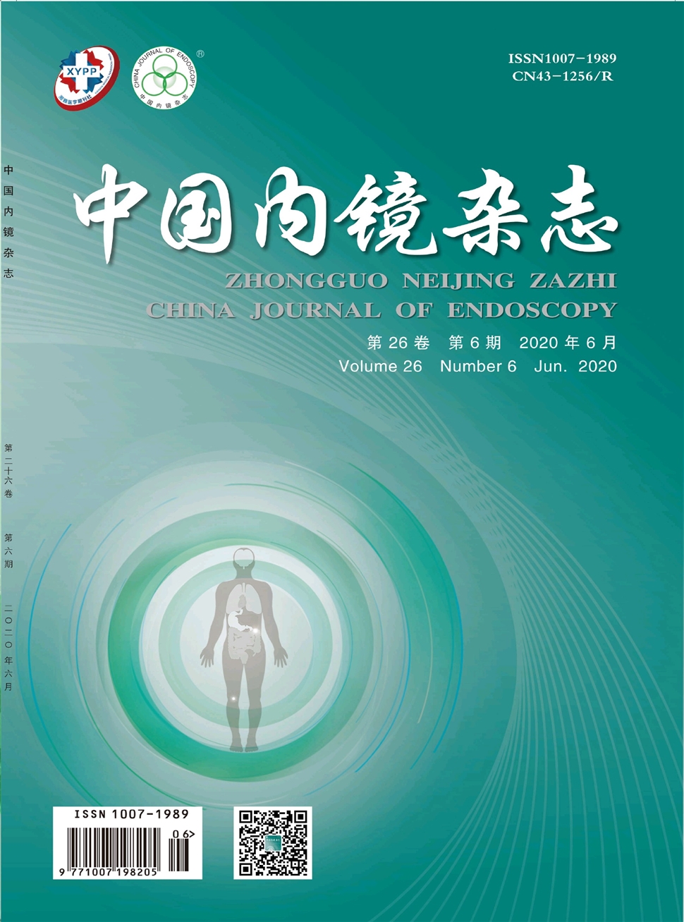 中国内镜杂志