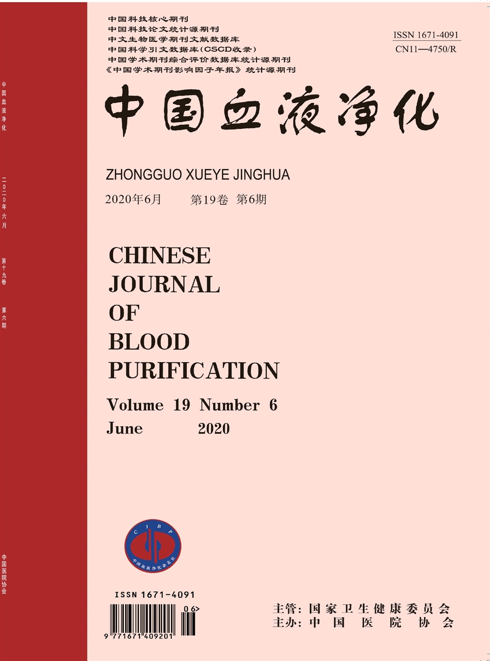 中国血液净化