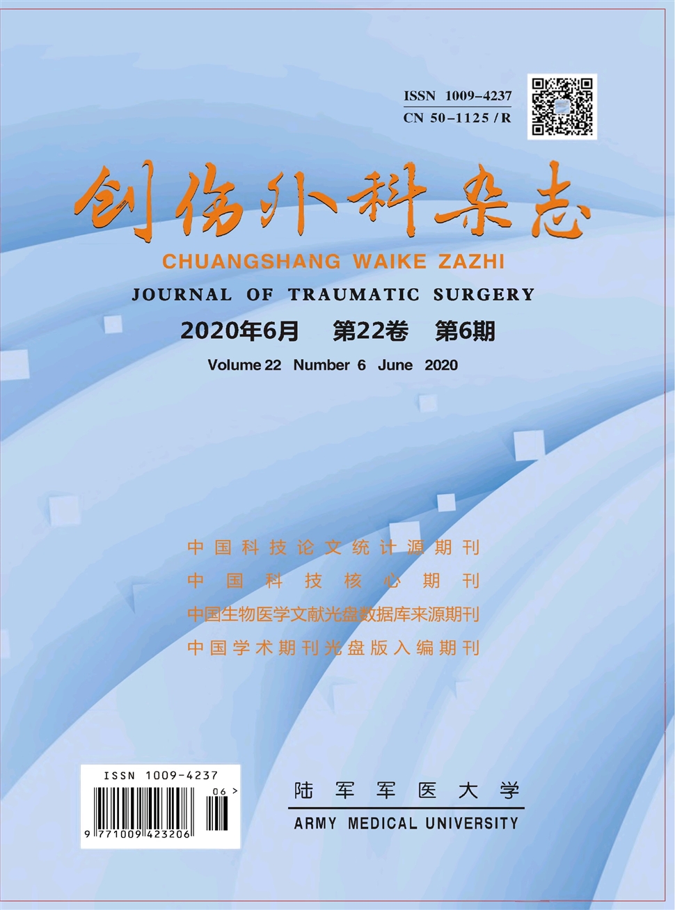 创伤外科杂志