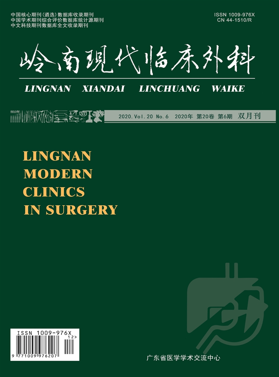 岭南现代临床外科