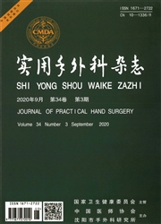实用手外科杂志