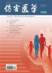 伤害医学：电子版