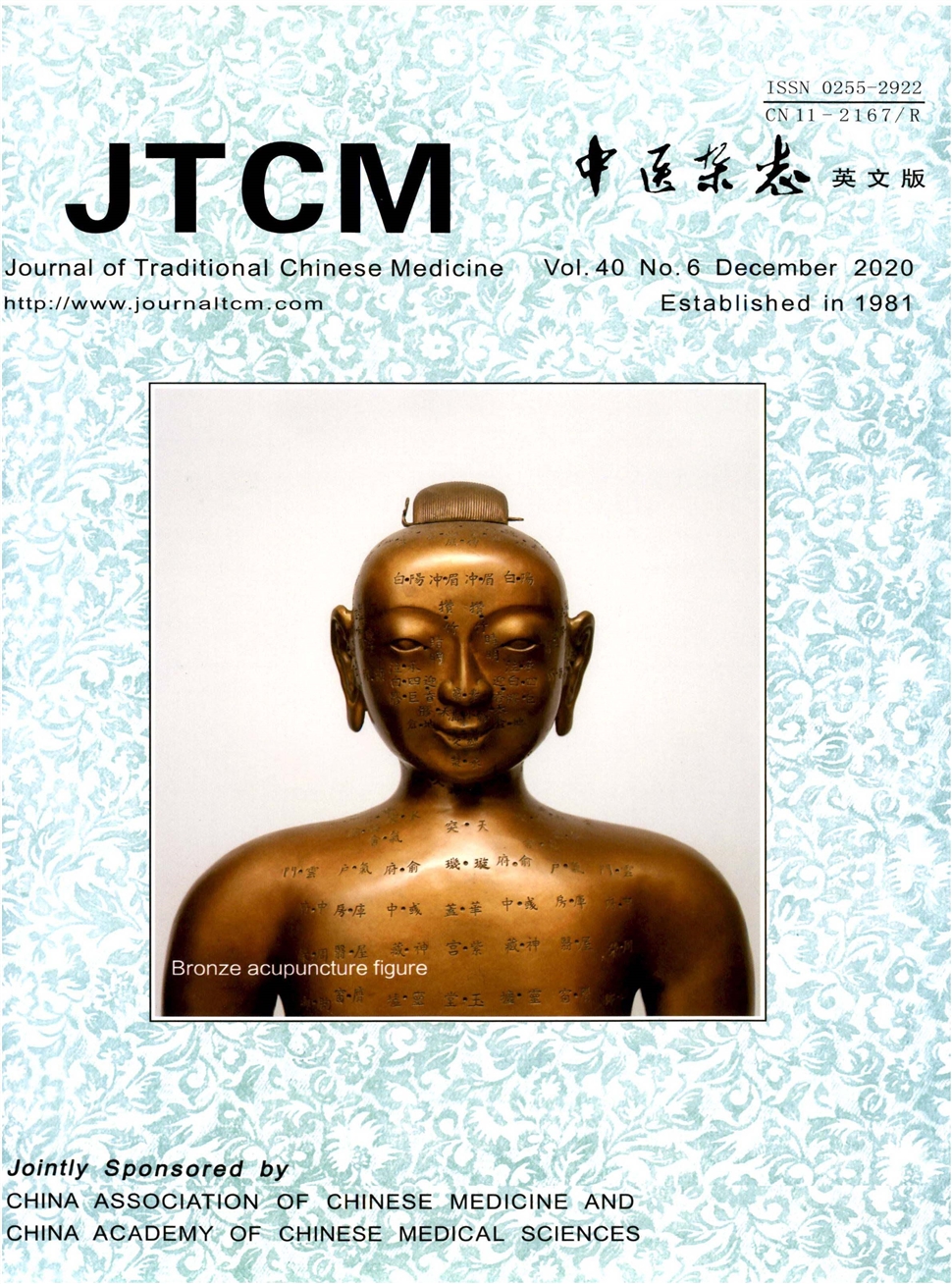 中医杂志：英文版