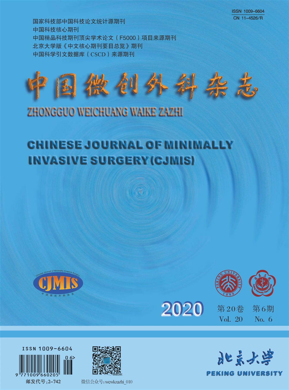 中国微创外科杂志