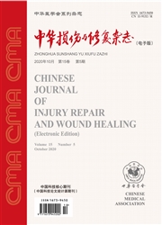 中华损伤与修复杂志：电子版