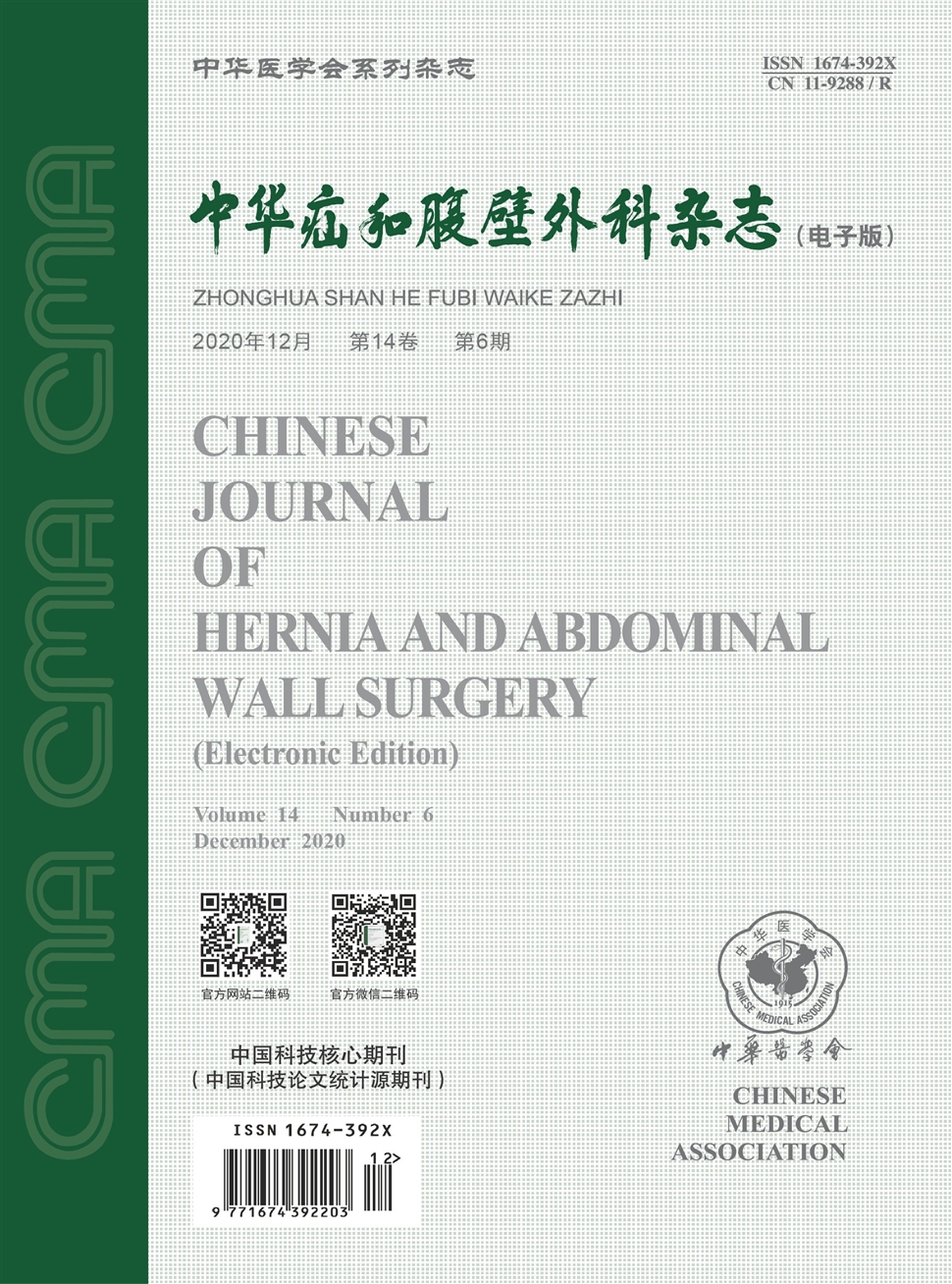 中华疝和腹壁外科杂志：电子版