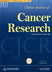 中国癌症研究：英文版
