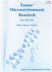 肿瘤微环境研究