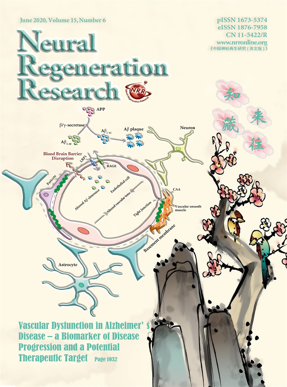 中国神经再生研究：英文版