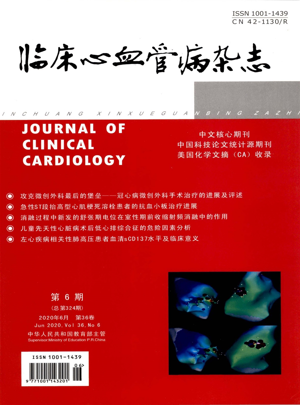 临床心血管病杂志