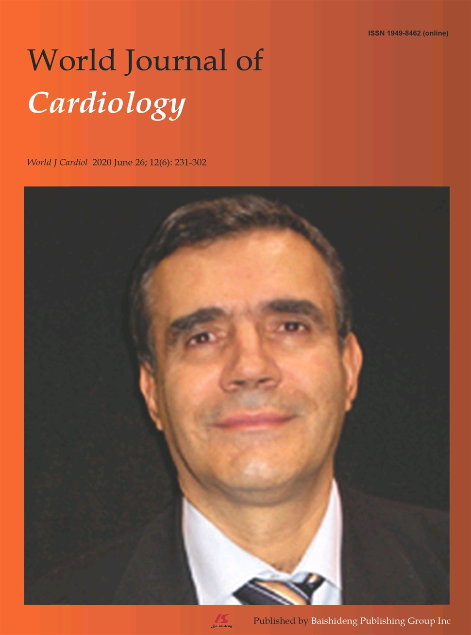 世界心脏病学杂志：英文版（电子版）