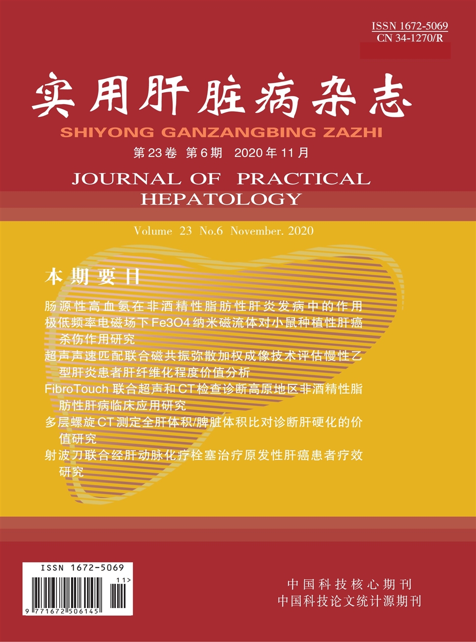 实用肝脏病杂志