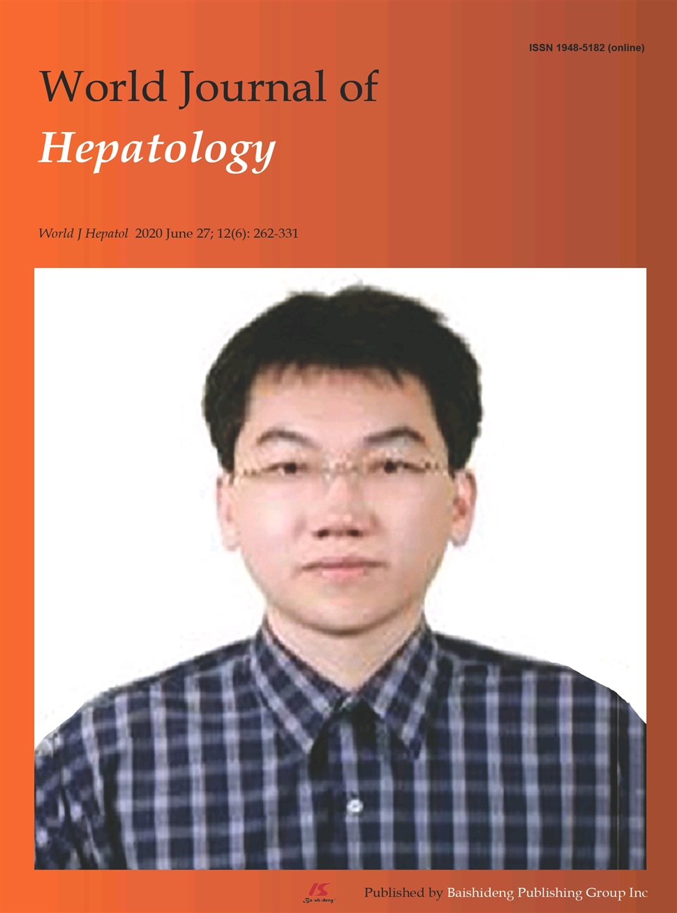 世界肝病学杂志：英文版（电子版）