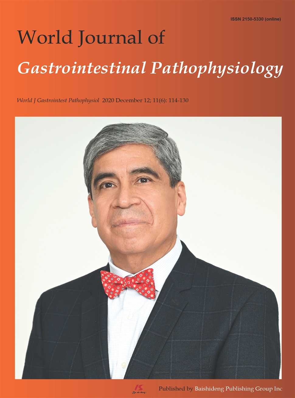 世界胃肠病理生理学杂志：英文版（电子版）