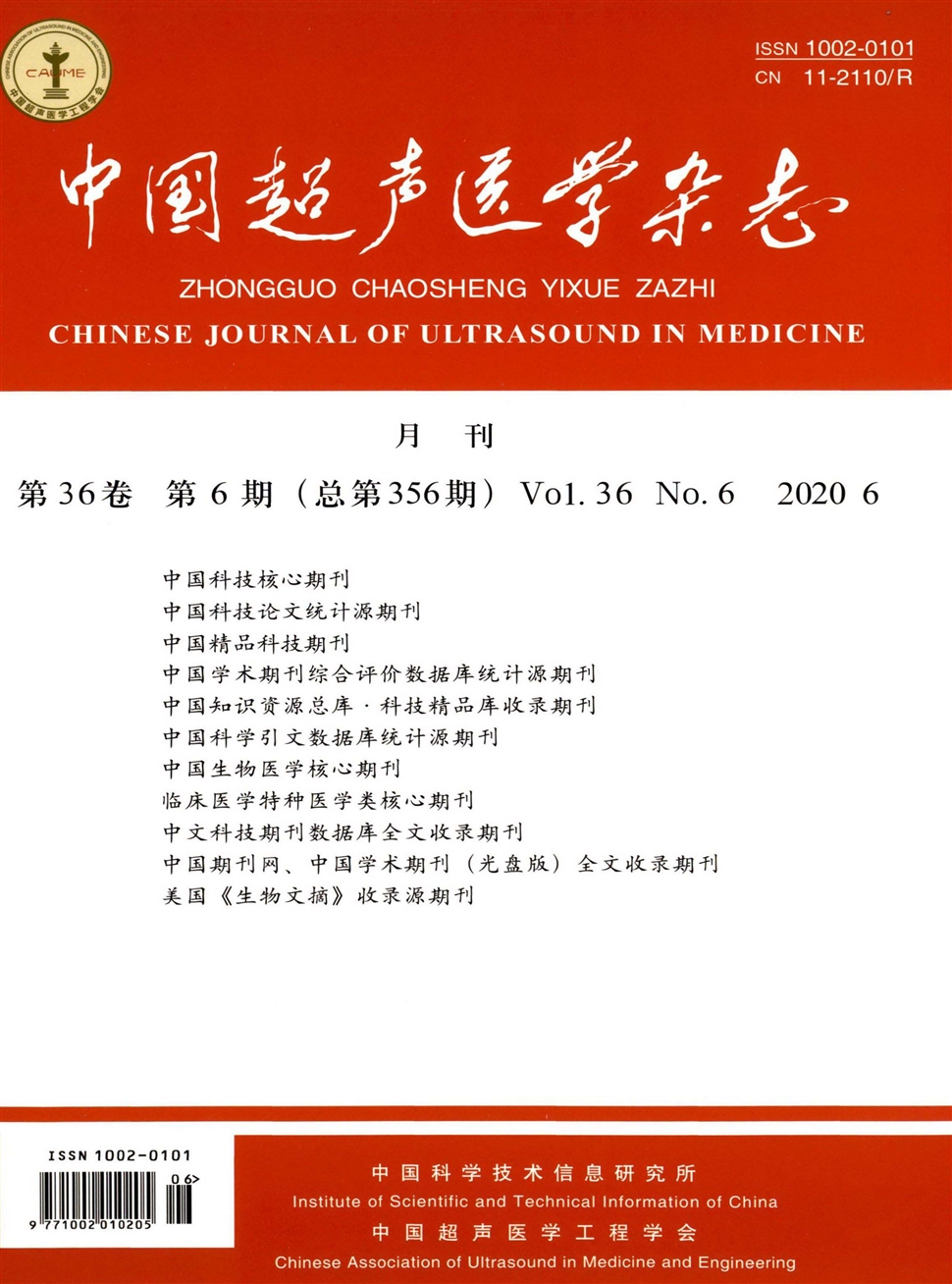 中国超声医学杂志