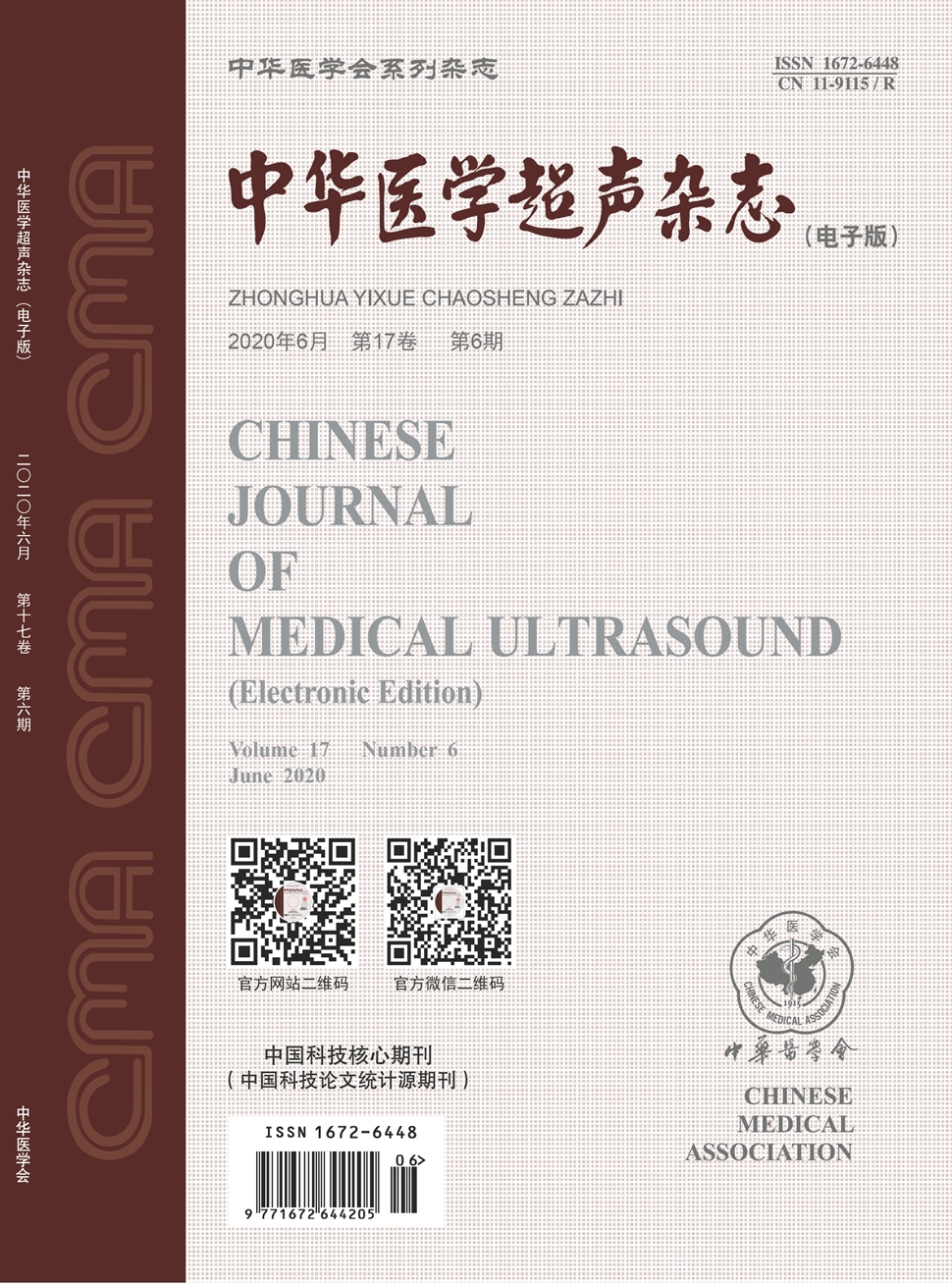 中华医学超声杂志：电子版