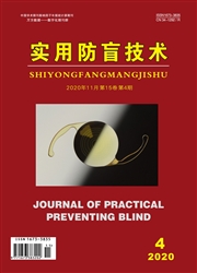 实用防盲技术