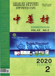 中药材