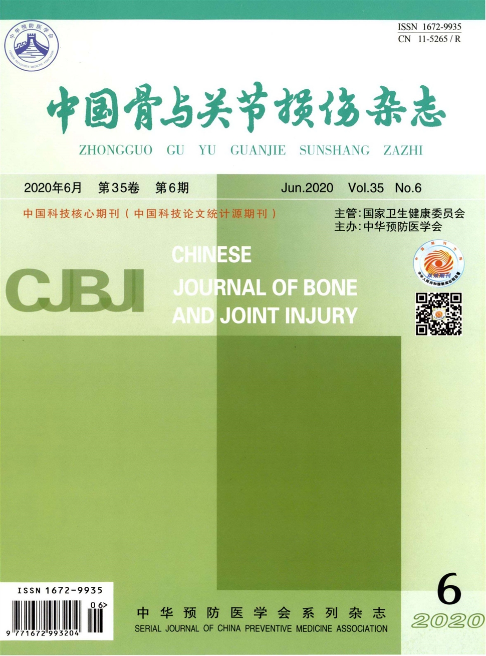 中国骨与关节损伤杂志