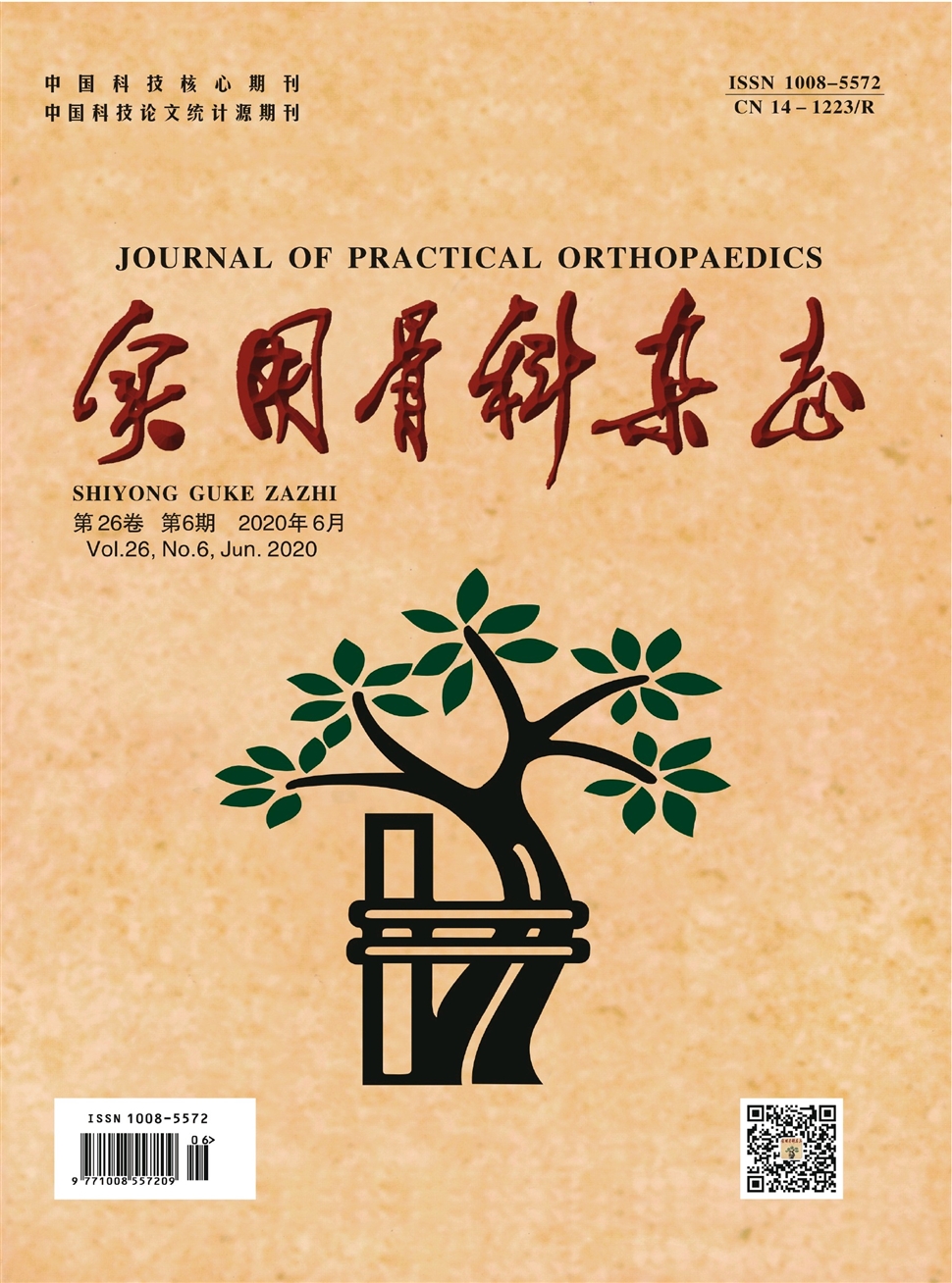 实用骨科杂志
