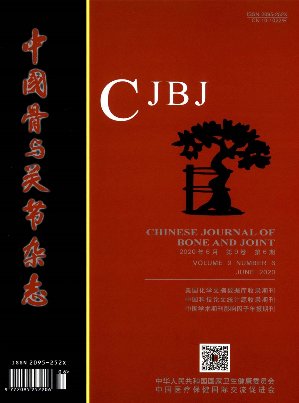 中国骨与关节杂志