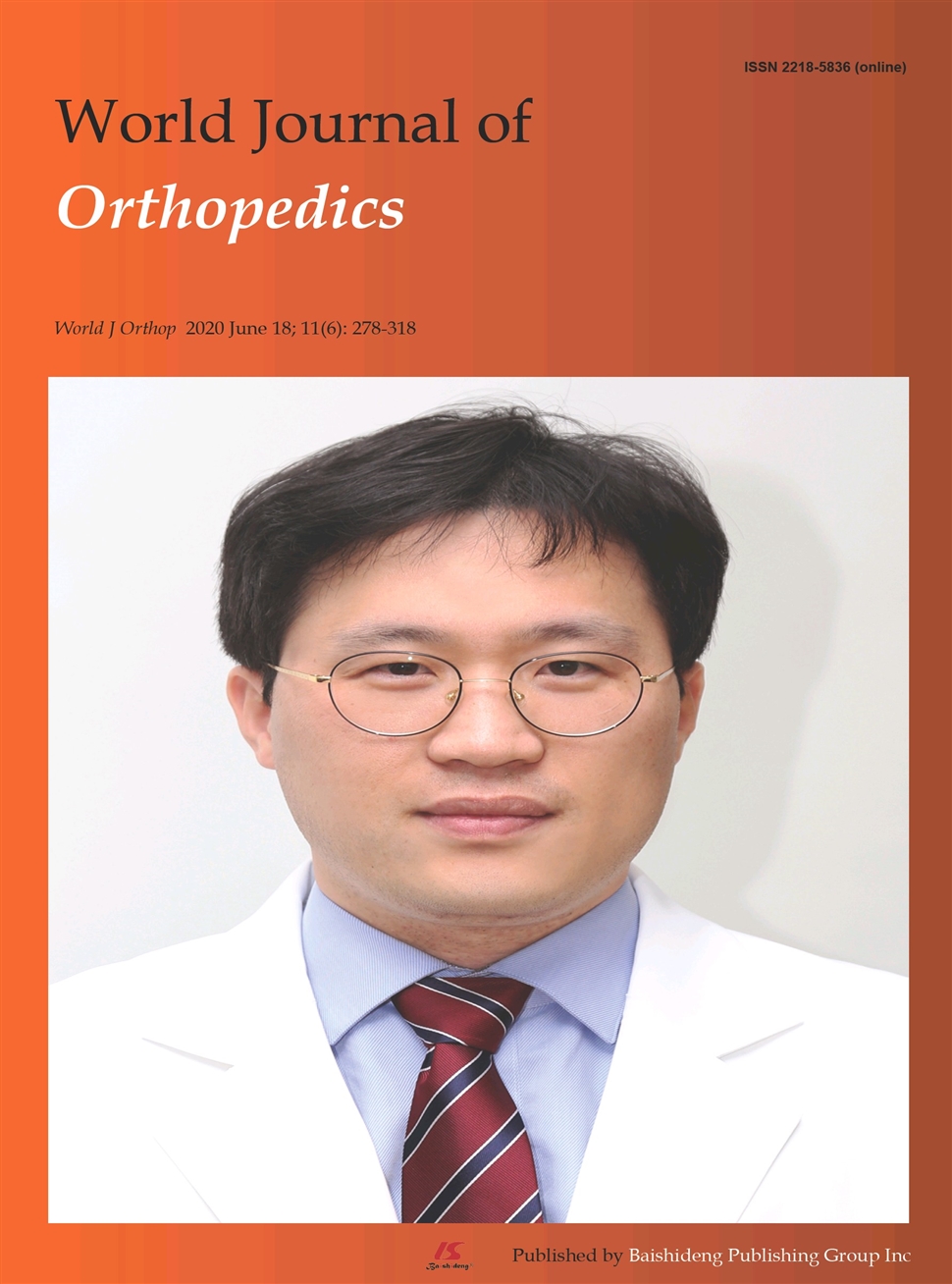 世界骨科杂志：英文版
