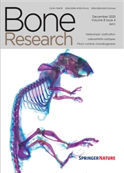 骨研究：英文版