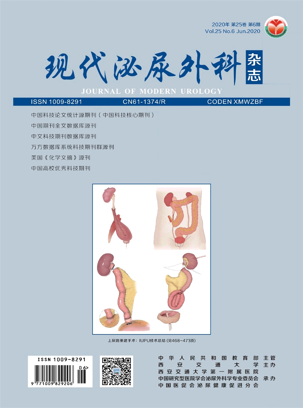 现代泌尿外科杂志