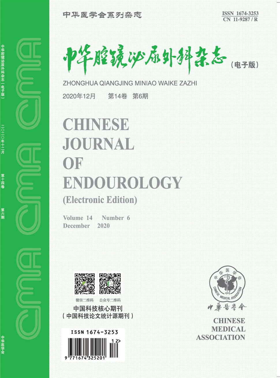 中华腔镜泌尿外科杂志：电子版