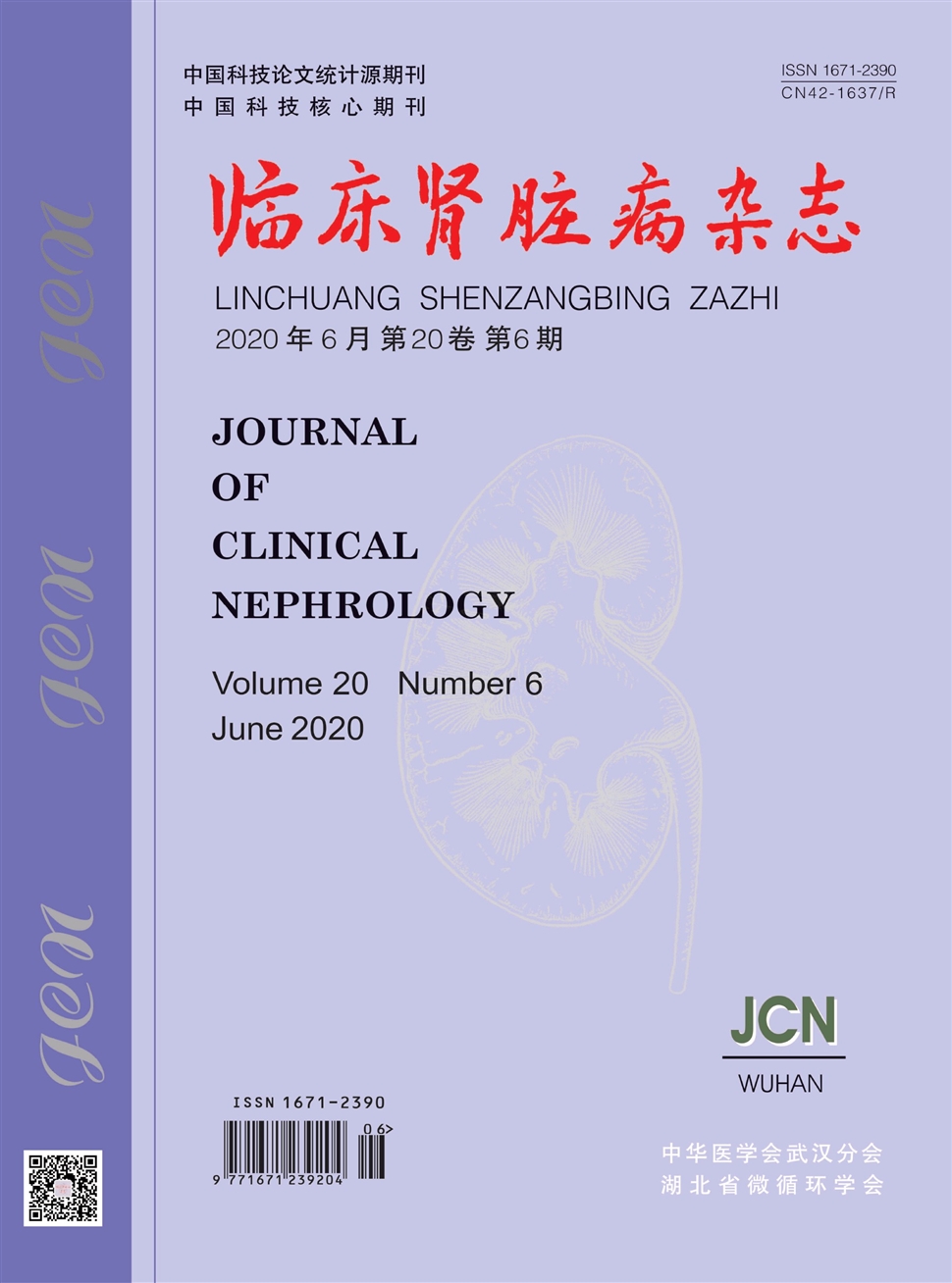 临床肾脏病杂志
