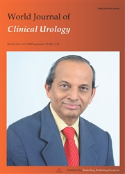 世界临床泌尿杂志