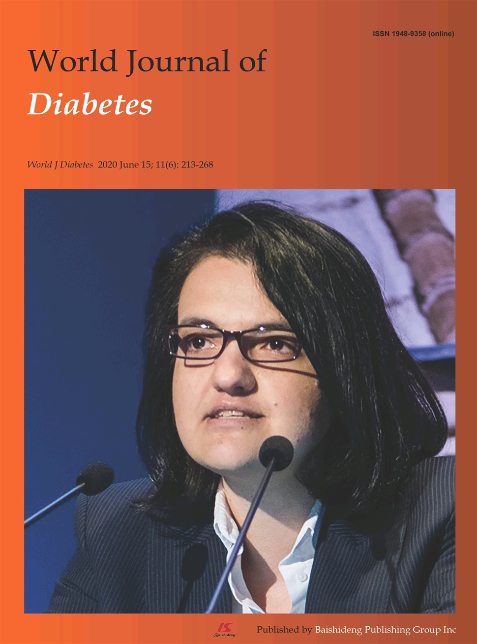 世界糖尿病杂志：英文版（电子版）