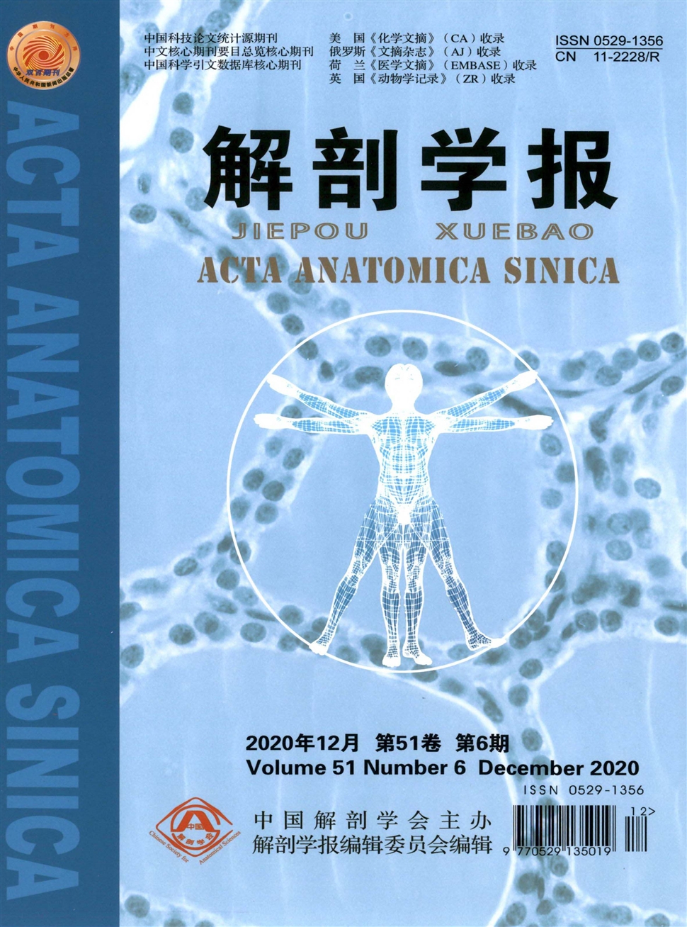 解剖学报