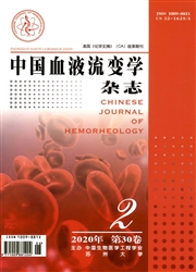 中国血液流变学杂志