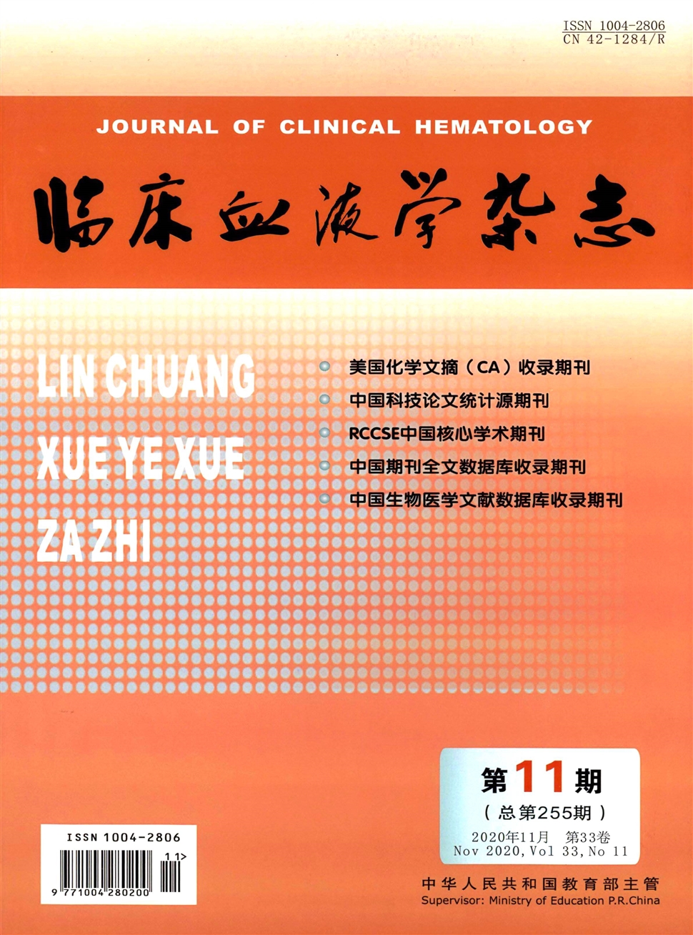临床血液学杂志