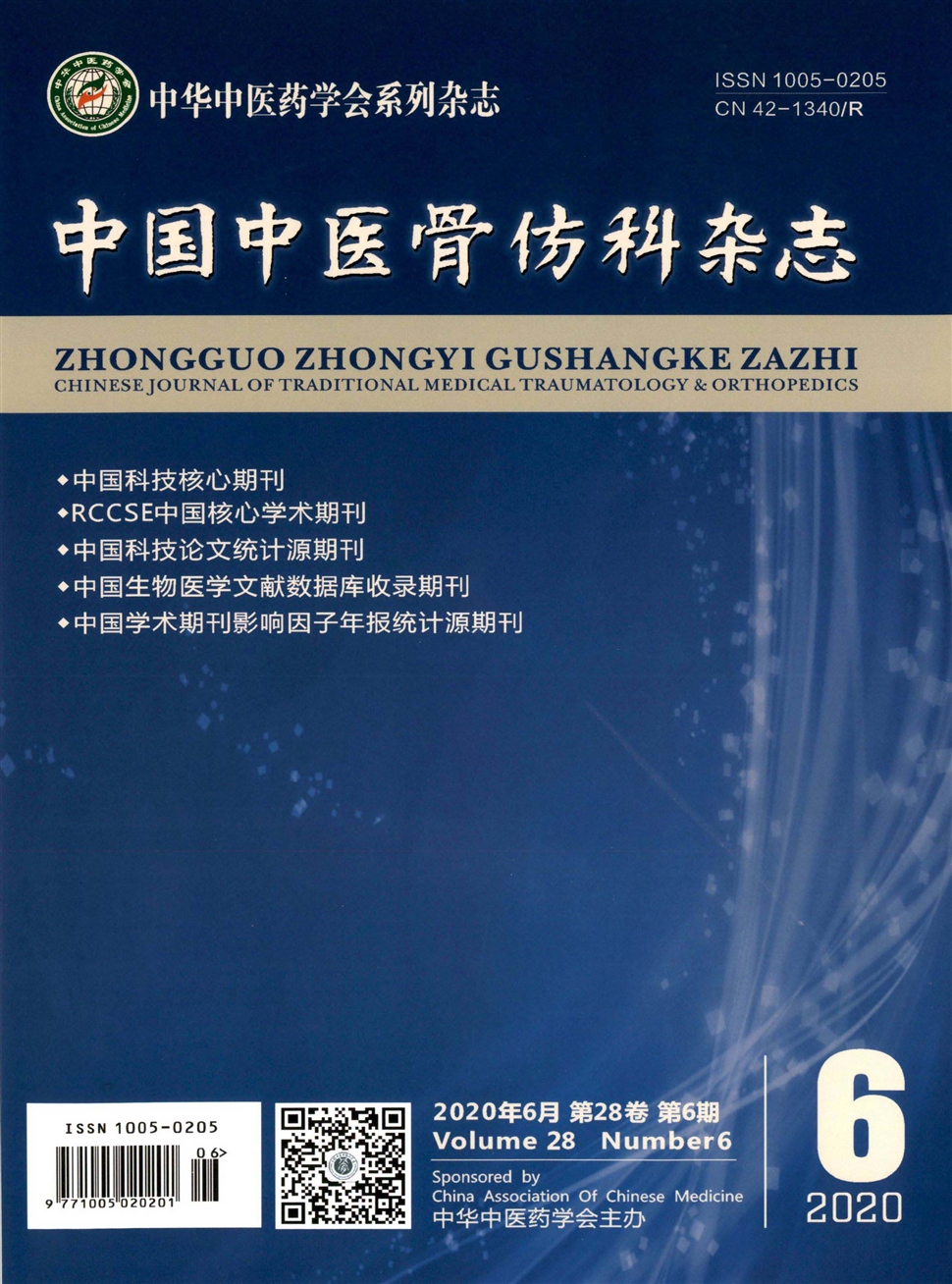 中国中医骨伤科杂志
