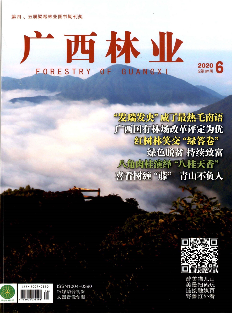 广西林业