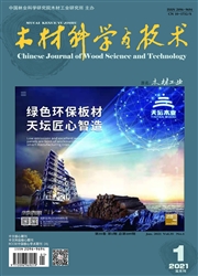 木材科学与技术