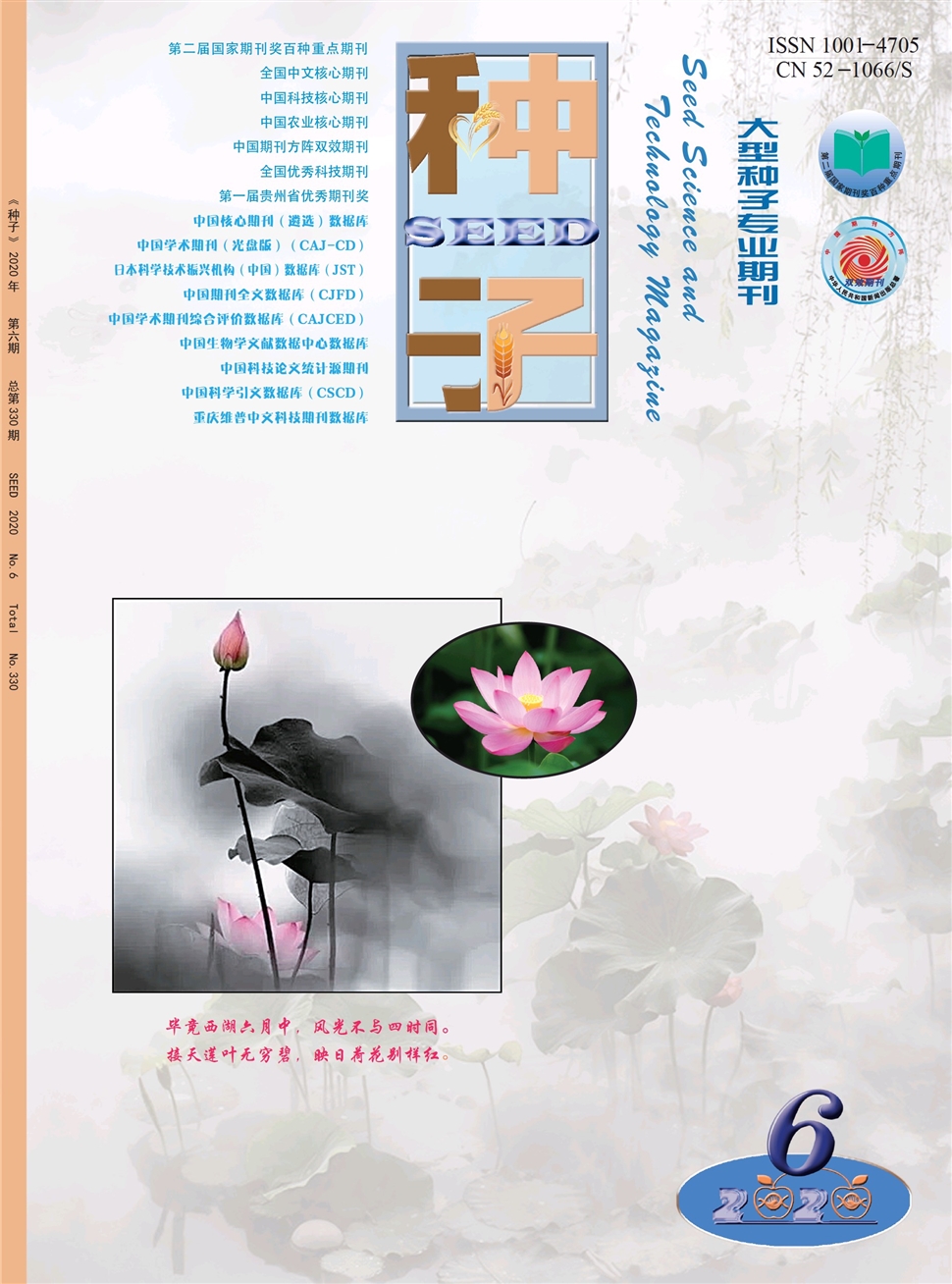 种子