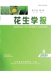 花生学报