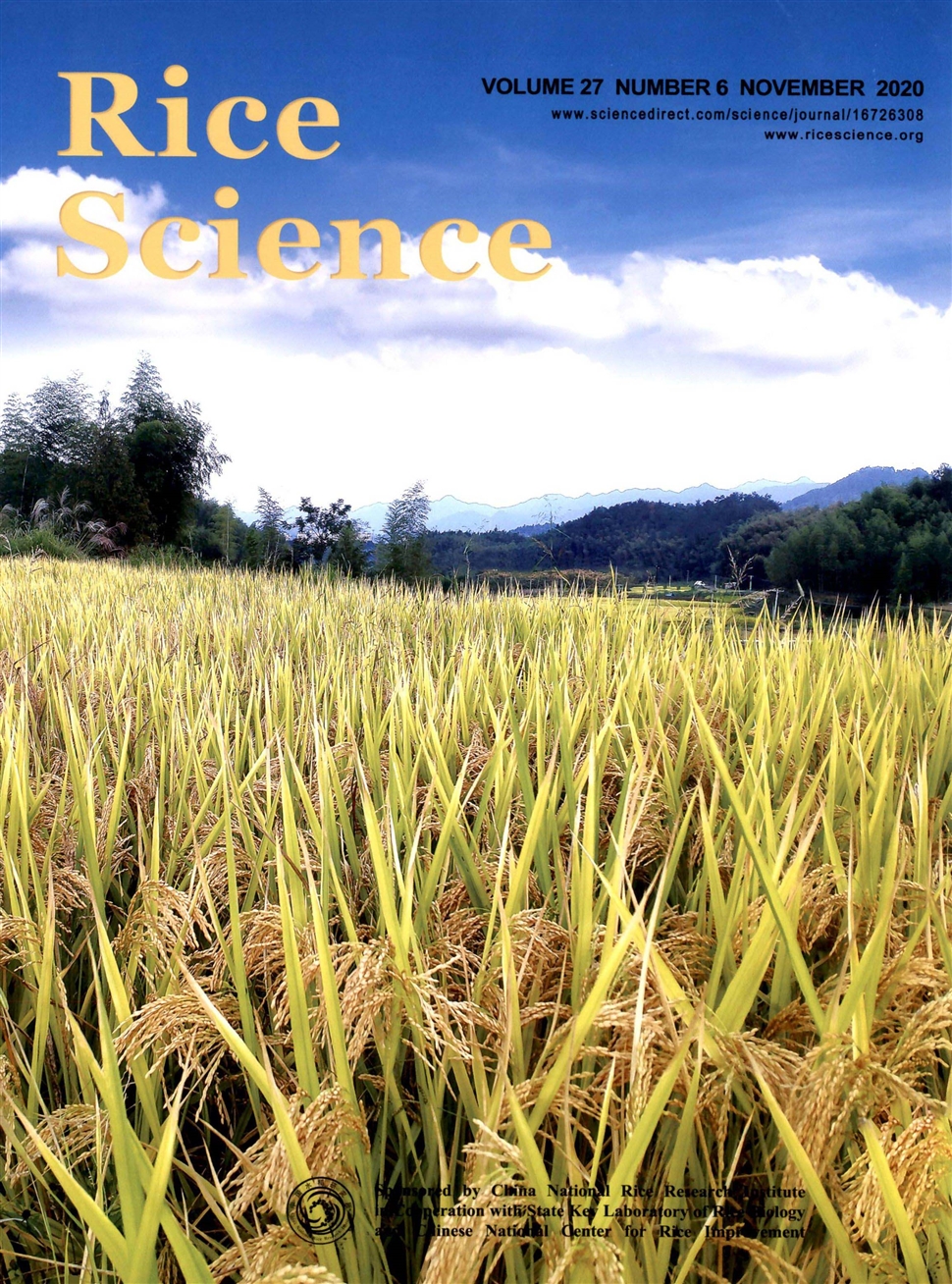 水稻科学：英文版