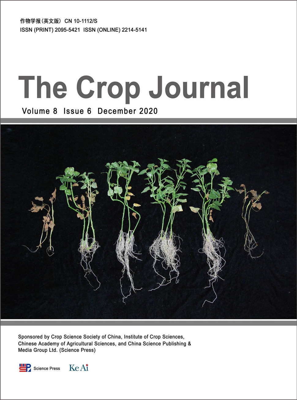 作物学报：英文版
