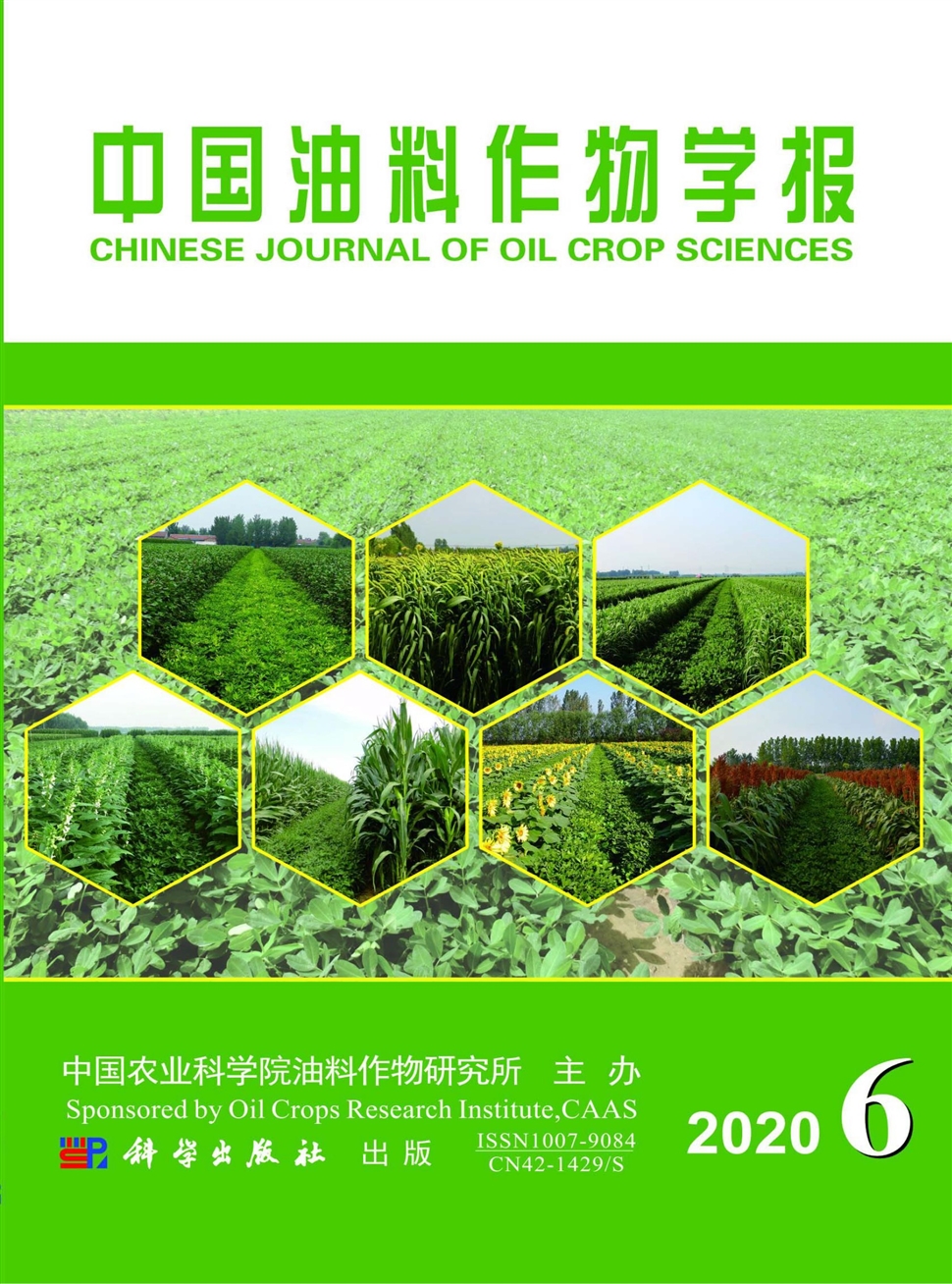 中国油料作物学报